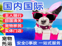 泉州晋江机场物流国际宠物托运 【国